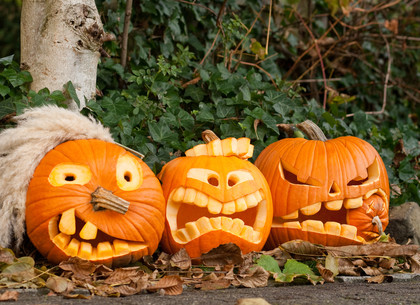 Хэллоуин – канун Дня всех святых: события 31 октября