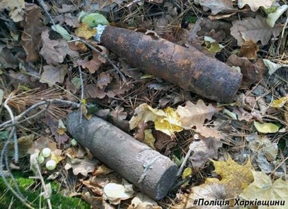 В месячник добровольной сдачи оружия в полицию приносят снаряды Второй мировой (ФОТО)