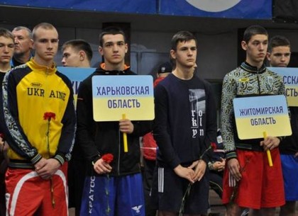 Харьковчане завоевали 5 медалей юниорского чемпионата Украины по боксу