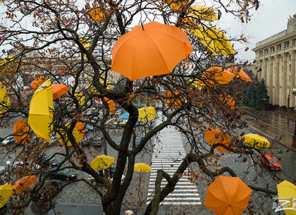 На площади Свободы появилось дерево с зонтиками