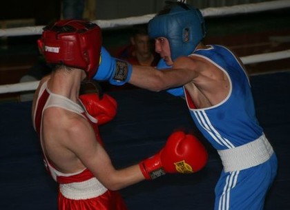 Боксеры Харьковщины завоевали три медали на молодежном чемпионате Украины