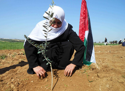 День солидарности с палестинским народом: события 29 ноября