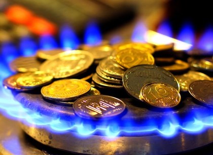 Депутаты хотят установить минимальную норму потребления газа для субсидии