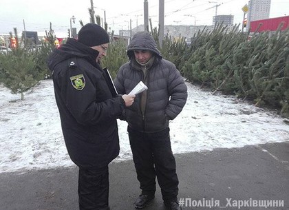 Правоохранители Харьковщины проводят рейды по выявлению незаконной торговли елками