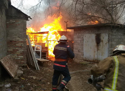 На Чугуевщине пожарные спасли животных