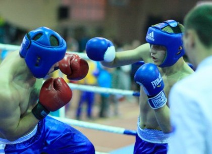 В Харькове пройдет международный турнир по боксу на призы мэра