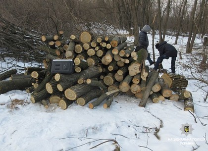 На Харьковщине полиция пресекла незаконную порубку деревьев
