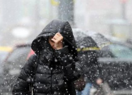 На Харьков надвигается циклон – ожидается сильный снегопад и ветер