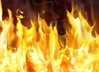 На Харьковщине сгорела квартира: погибла женщина