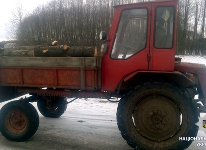 На Харьковщине мужчина незаконно вырубил деревья