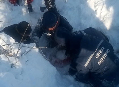 Под Харьковом 12- летнюю девочку завалило снегом. Ее спасли и сейчас ее жизни ничего не угрожает.