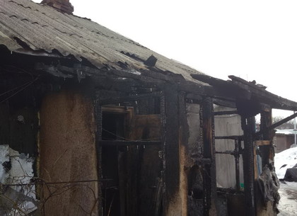 Жильцы выпрыгивали из окон горящего дома