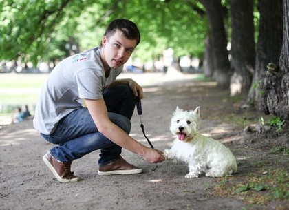 Харьковчане просят горсовет штрафовать владельцев собак, не убирающих за ними