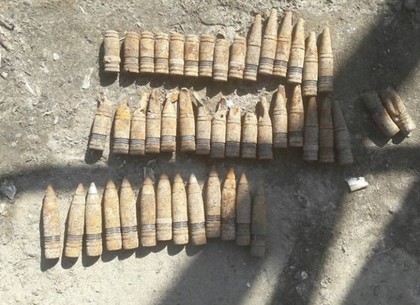 Школьники нашли  боеприпасы  на территории заброшенного парка