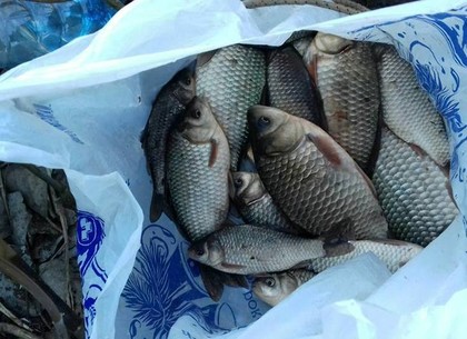 На Новожаново за браконьерство задержали рыболова