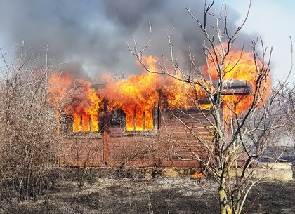 На Харьковщине спасатели ликвидировали 71 случай горения сухостоя (ФОТО)