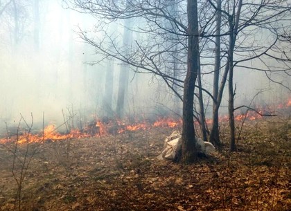 Под Харьковом женщина получила ожоги, упав в горящий сухостой (ФОТО)