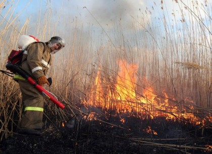 За сутки спасатели ликвидировали 46 пожаров в природных экосистемах, один человек пострадал