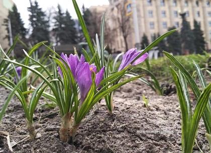 Прогноз погоды в Харькове на среду, 18 апреля