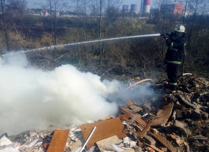 За сутки спасатели ликвидировали 45 пожаров в природных экосистемах (ФОТО)