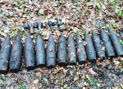 Полицейские в Харьковской области обнаружили боеприпасы Второй мировой войны