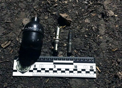 На детской площадке нашли гранату (ФОТО)