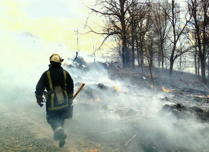 За сутки спасатели ликвидировали 30 пожаров в природных экосистемах