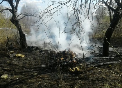 12 пожаров сухостоя ликвидировали спасатели в Харьковской области