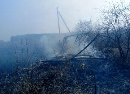 За сутки спасатели ликвидировали 22 пожара сухостоя