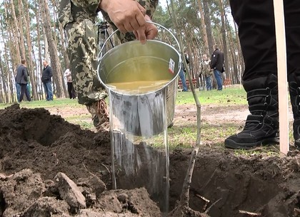 Харьковская область приняла участие во Всеукраинской акции по высадки леса
