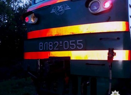 Полиция опознала женщину, которую насмерть сбил поезд под Валками (ФОТО)