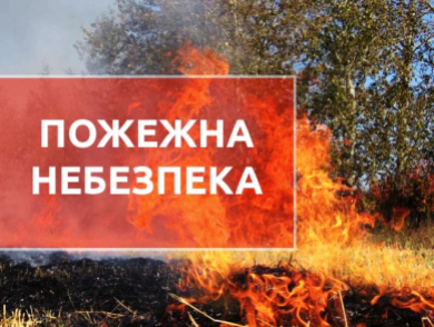 Харьковчанам запрещают ходить в хвойные леса