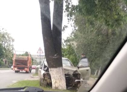 На Чкалова легковушка врезалась в дерево