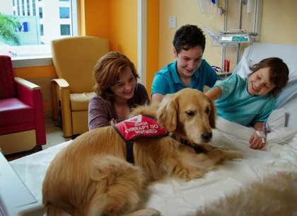 Центр, в котором собаки будут лечить детей, планируют создать в Харькове