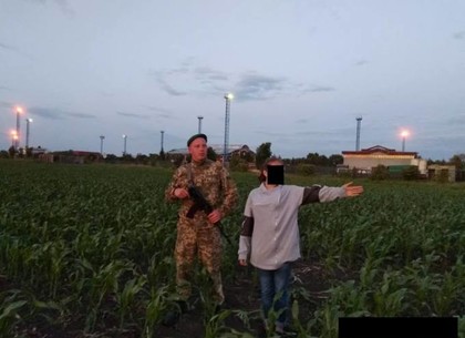 Путешественницу без документов задержали в кукурузном поле возле границы