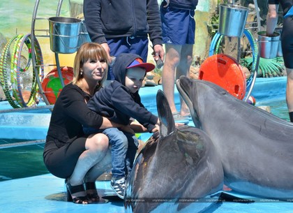 На праздник с дельфинами пришли дети льготных категорий (ФОТО)