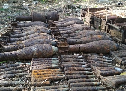 Пиротехники ГСЧС с начала года изъяли почти 27 тыс. боеприпасов