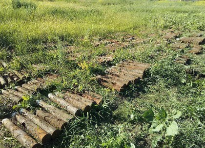 «Дергачёвское месторождение»: на поле нашли 500 боеприпасов (ФОТО)