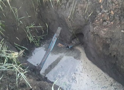 В пшеничном поле прорыли подземный трубопровод в Россию (ФОТО)