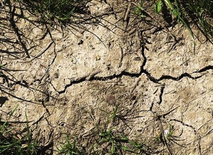 Укргидрометцентр: Четверть территории Украины охвачена засухой