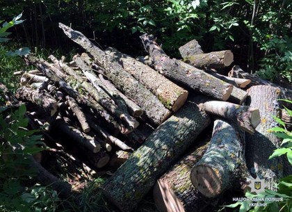 Под Харьковом полицейские задержали двух мужчин за незаконную порубку леса (ФОТО)