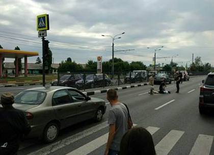 На проспекте Гагарина сбили 81-летнего пешехода (ФОТО)