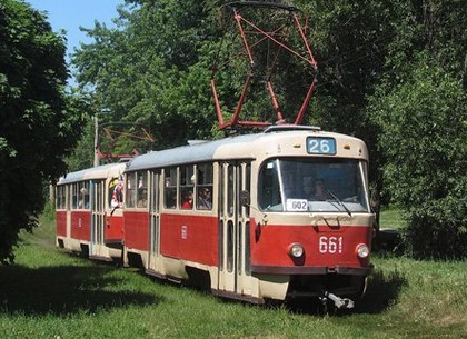 Два дня до Журавлевского гидропарка не будут ходить трамваи