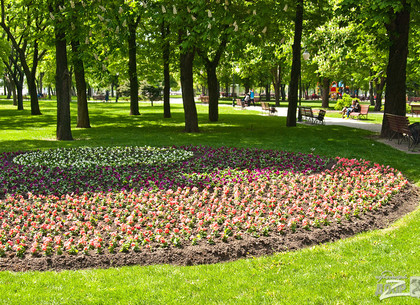 В районах Харькова обустроят несколько парков и скверов