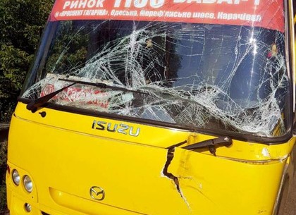На Харьковщине произошла авария с участием пассажирского автобуса и грузовика
