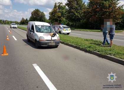 Женщина-пешеход попала под колеса Renault