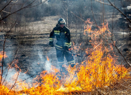 7 пожаров в экосистемах потушили спасатели в течение суток
