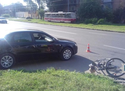 В Харькове Audi сбила велосипедиста