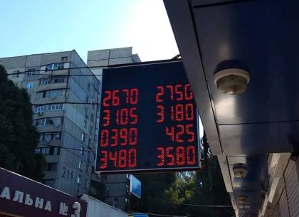 Наличные и безналичные курсы валют в Харькове на 10 августа