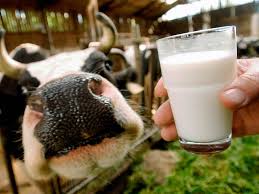 Международный проект провел тренинг для харьковских контролеров молока